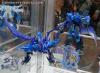 DSC02824a.jpg
