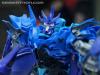 DSC02825a.jpg