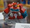 DSC03781.jpg