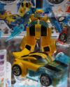 DSC03786.jpg