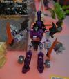 DSC00624a.jpg