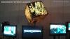TFExpo 2014 Japan - Transformers Event: PIC 2789 R
