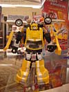 BotCon 2006: Hasbro's Toy Display Cases - Transformers Event: