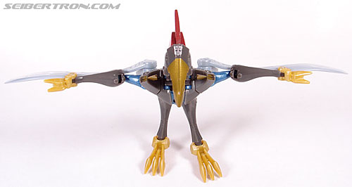 Swoop -