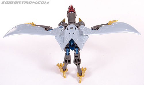 Swoop -