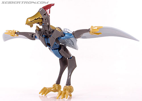 Swoop -