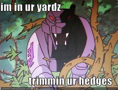 lolcat_ravage_shrubs.jpg