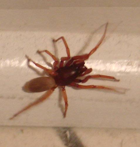 DSC07565a.jpg