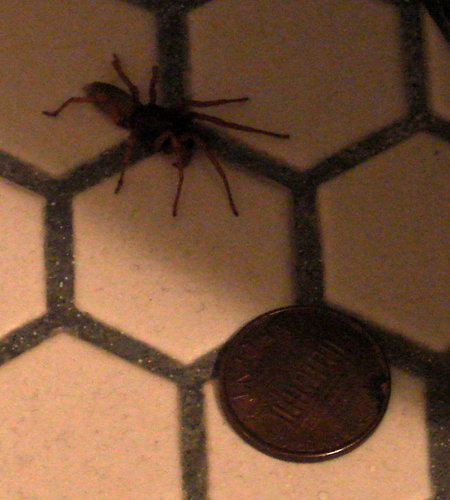 DSC07568a.jpg