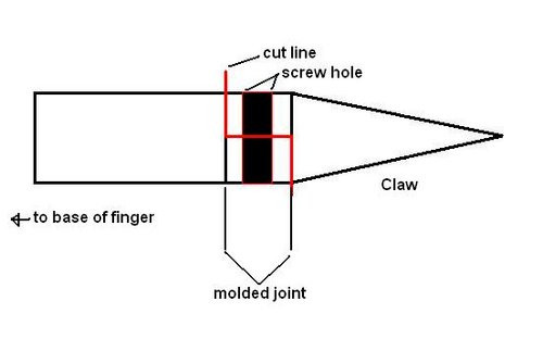 hand.jpg