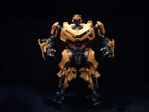 2010-12-13211441.jpg