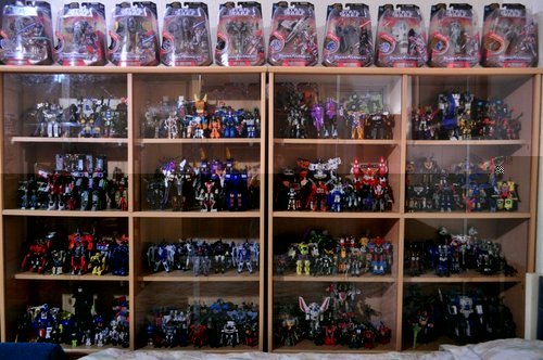 Shelf 7.JPG