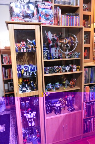 Shelf 9.JPG