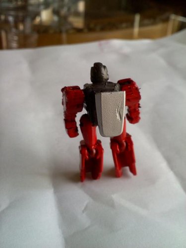 Rev_Bot1.jpg