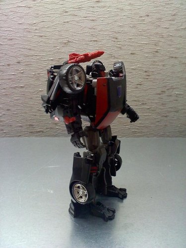 runabout_bot3.jpg