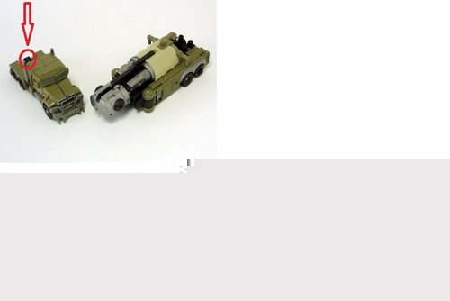 megs.jpg