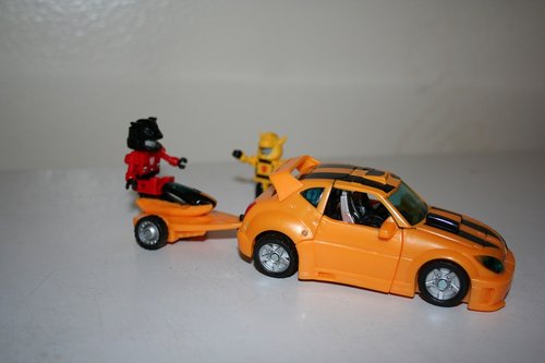 Bee 06.JPG