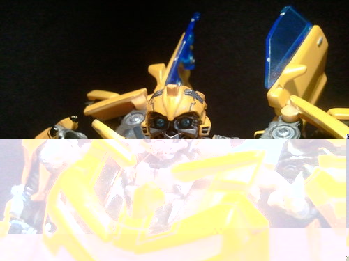2011-07-18125921.jpg