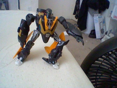 No-Name Custom 3.jpg