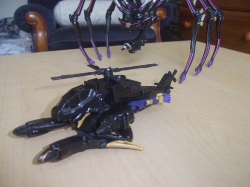 SV105703.JPG