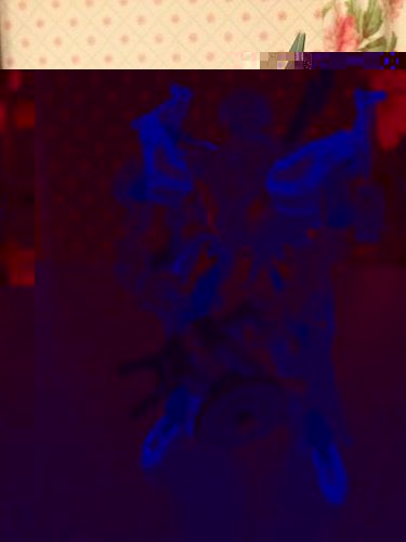1321909913_6ff7c843.jpg