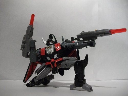 Black Shadow.JPG