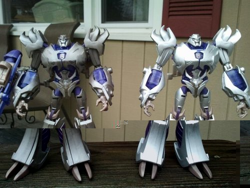 megs.jpg