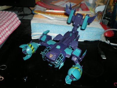 DSCN3707.JPG