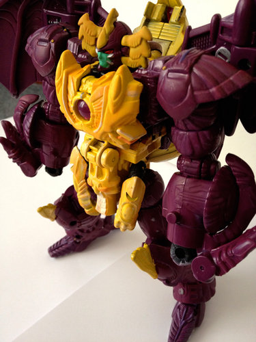 c6.jpg