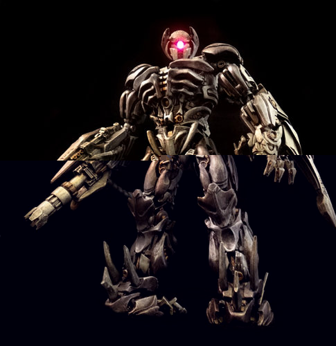 shockwave 1 small.jpg