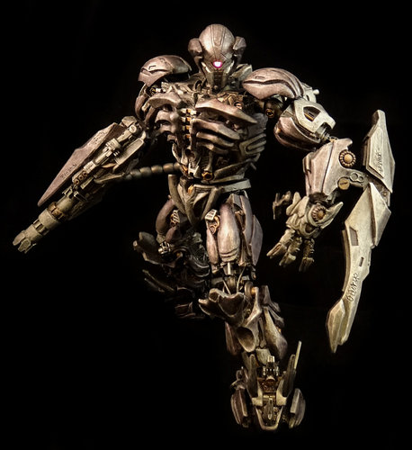 shockwave 8 small.jpg