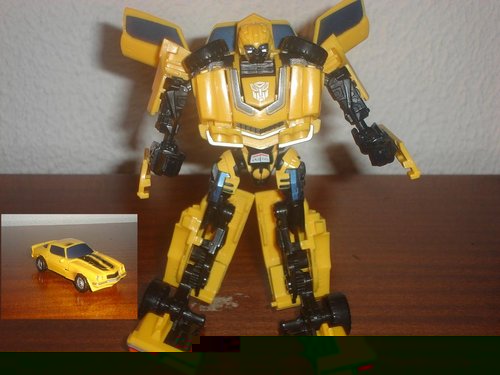 Bumblebee.JPG
