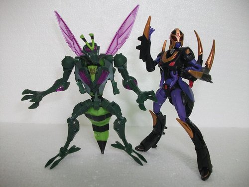 Blackarachnia & Waspinator 1.JPG