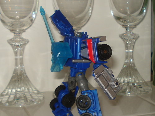 DSC08288.JPG