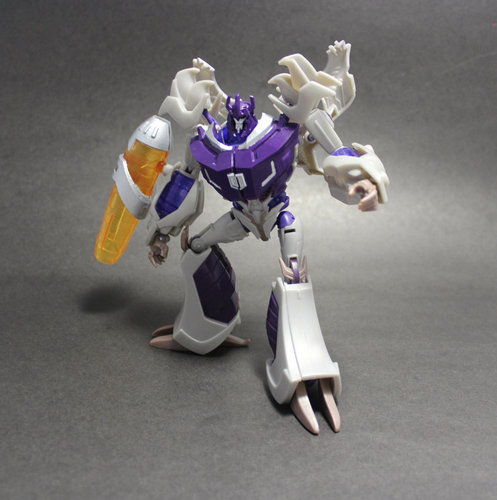 RFX002_07.jpg