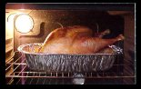 Turkey in oven.jpg