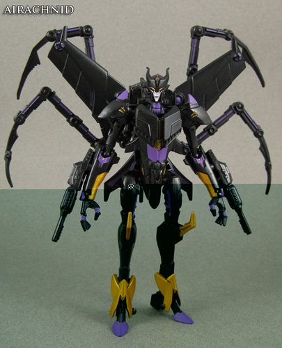 Airachnid 001.JPG