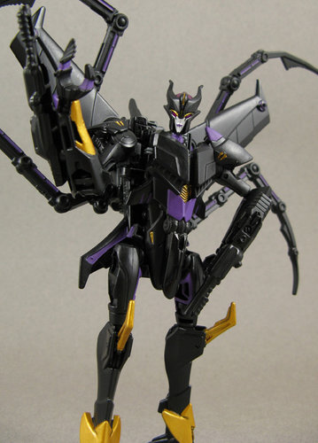 Airachnid 002.JPG