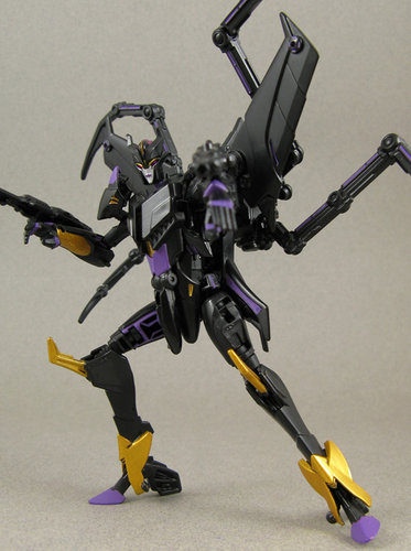 Airachnid 004.JPG
