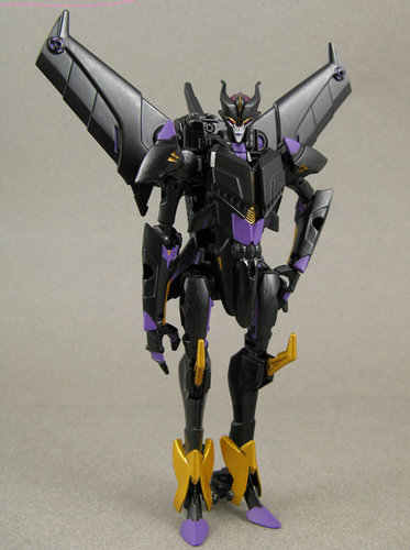 Airachnid 005.JPG