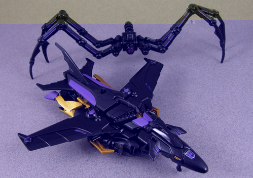 Airachnid 007.JPG