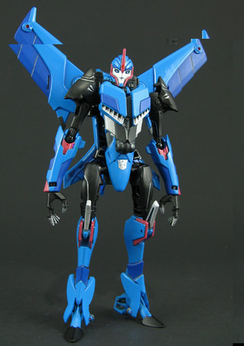 Starcee 003.JPG