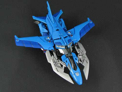 Starcee 006.JPG