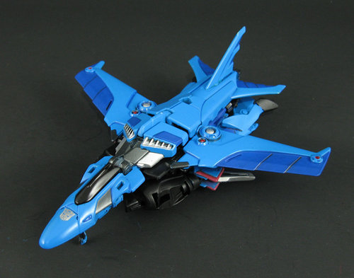 Starcee 005.JPG