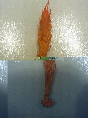 FILE0012.JPG