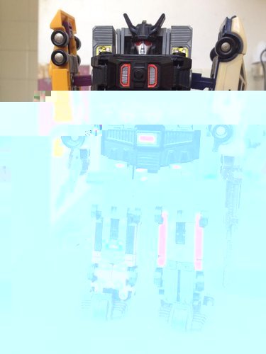 1469955_10152046409124496_434805307_n.jpg