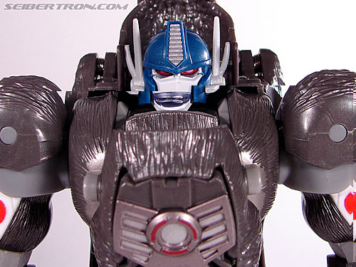 r_reissueoptimusprimal090.jpg