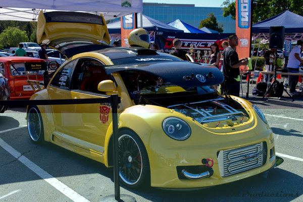 Bumblebee 7.jpg