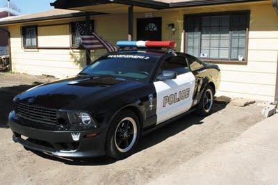 mustang-cruiser.jpg