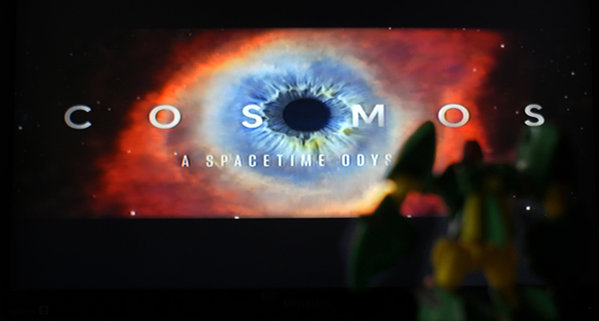 cosmos.jpg